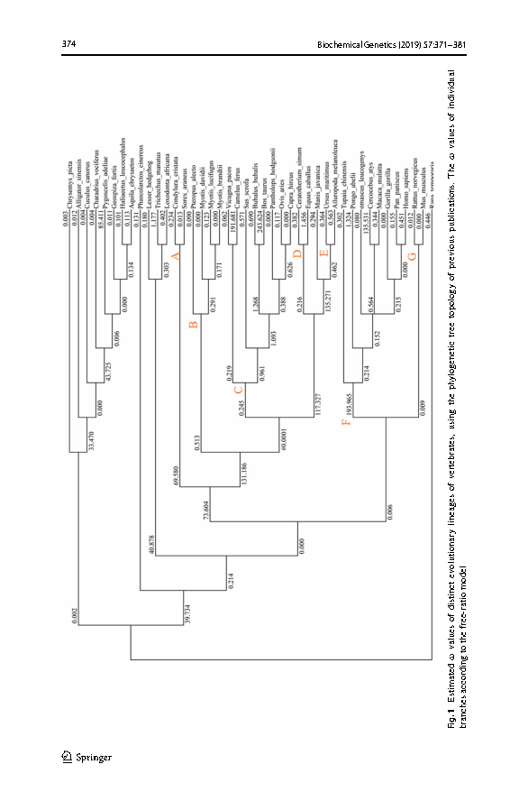 胡斯乐vertebrates_Page4.png