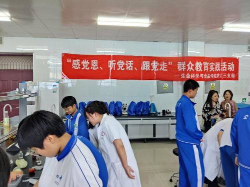 图片3_副本.png