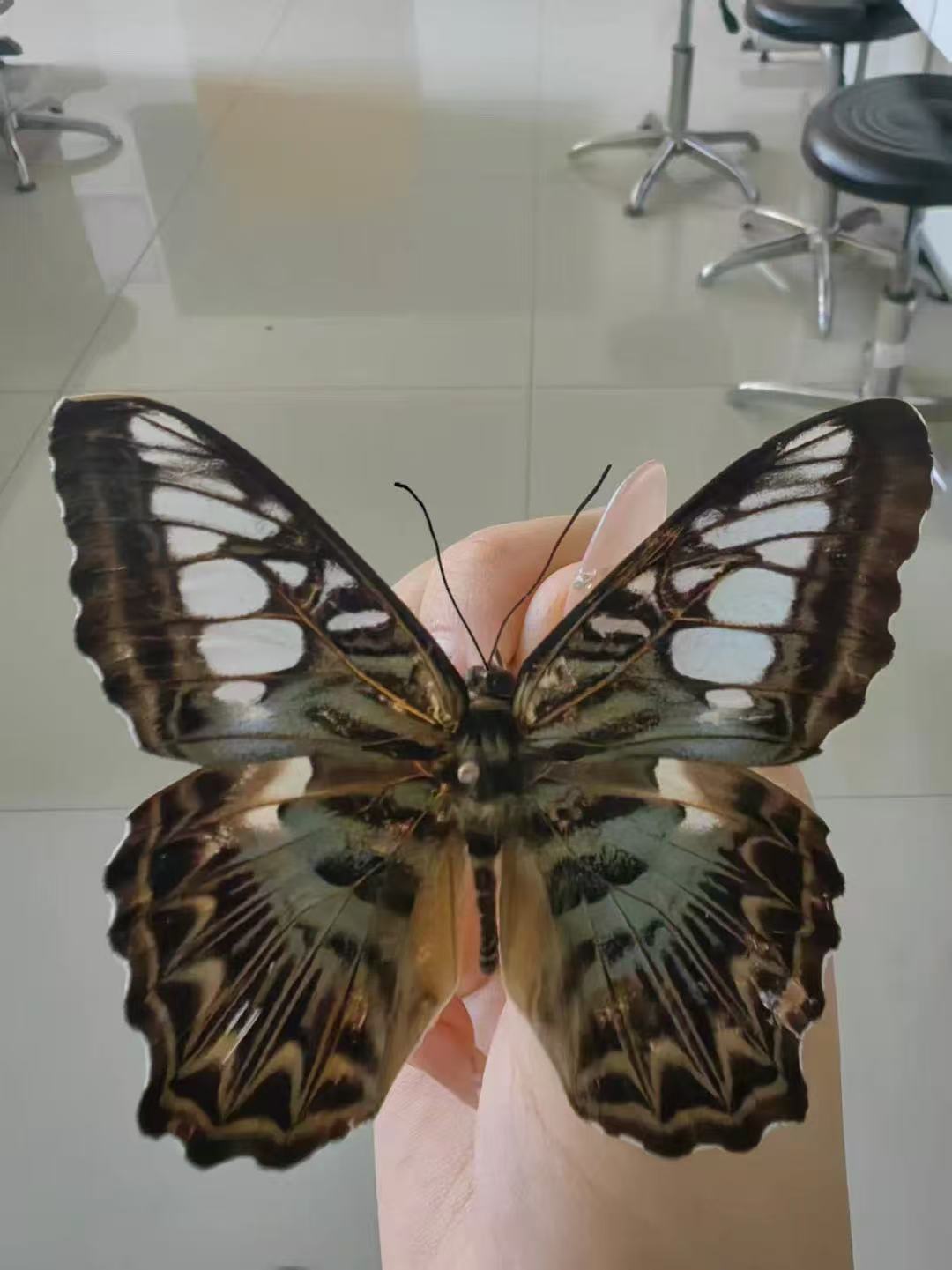 微信图片_20250522124234.jpg