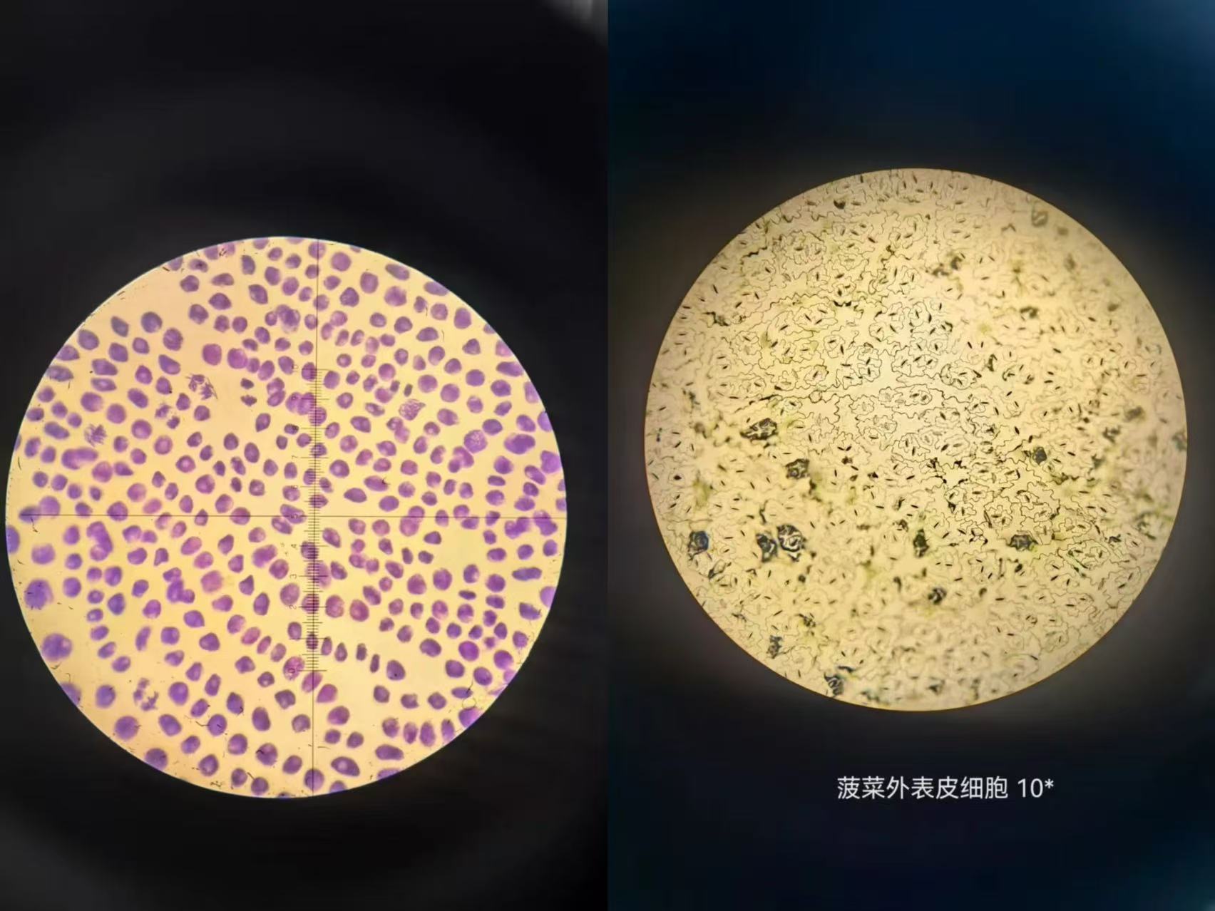 微信图片_20250522124219.jpg
